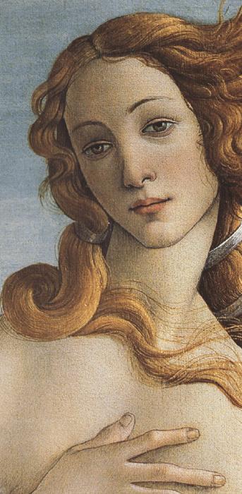 Sandro Botticelli The Birth of Venus (mk36) Germany oil painting art